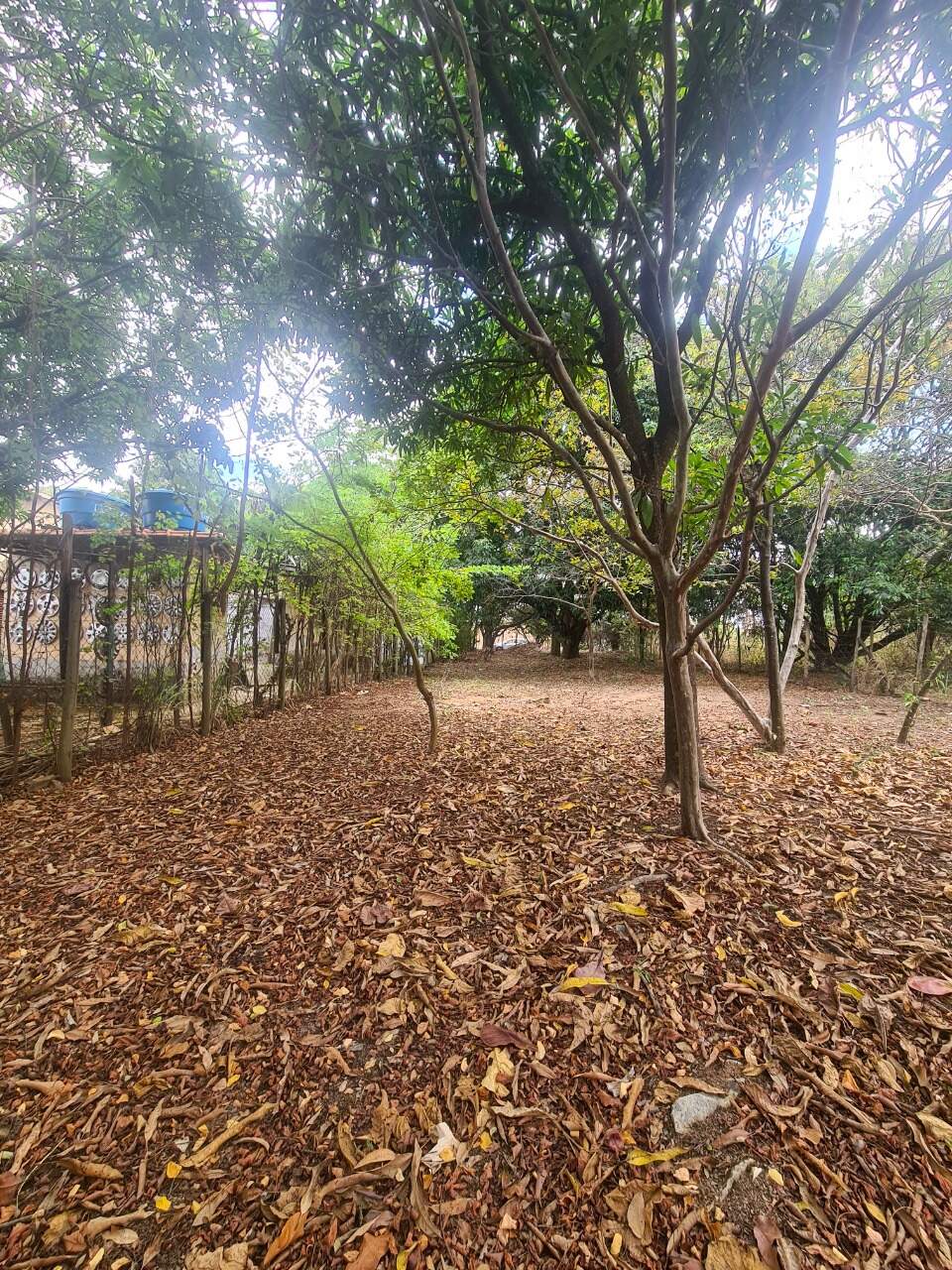 Lote à venda, no Trevo.: 