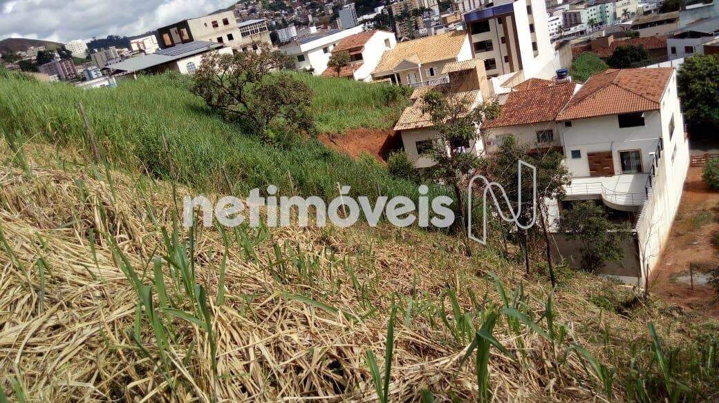 lote à venda no Santa Zita: 