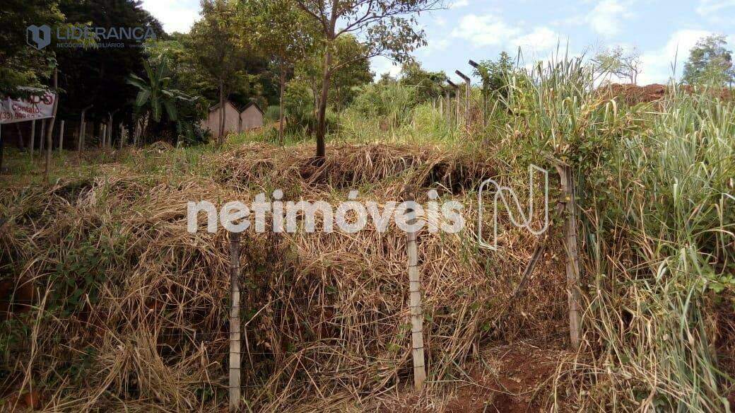 lote à venda no Santa Zita: 