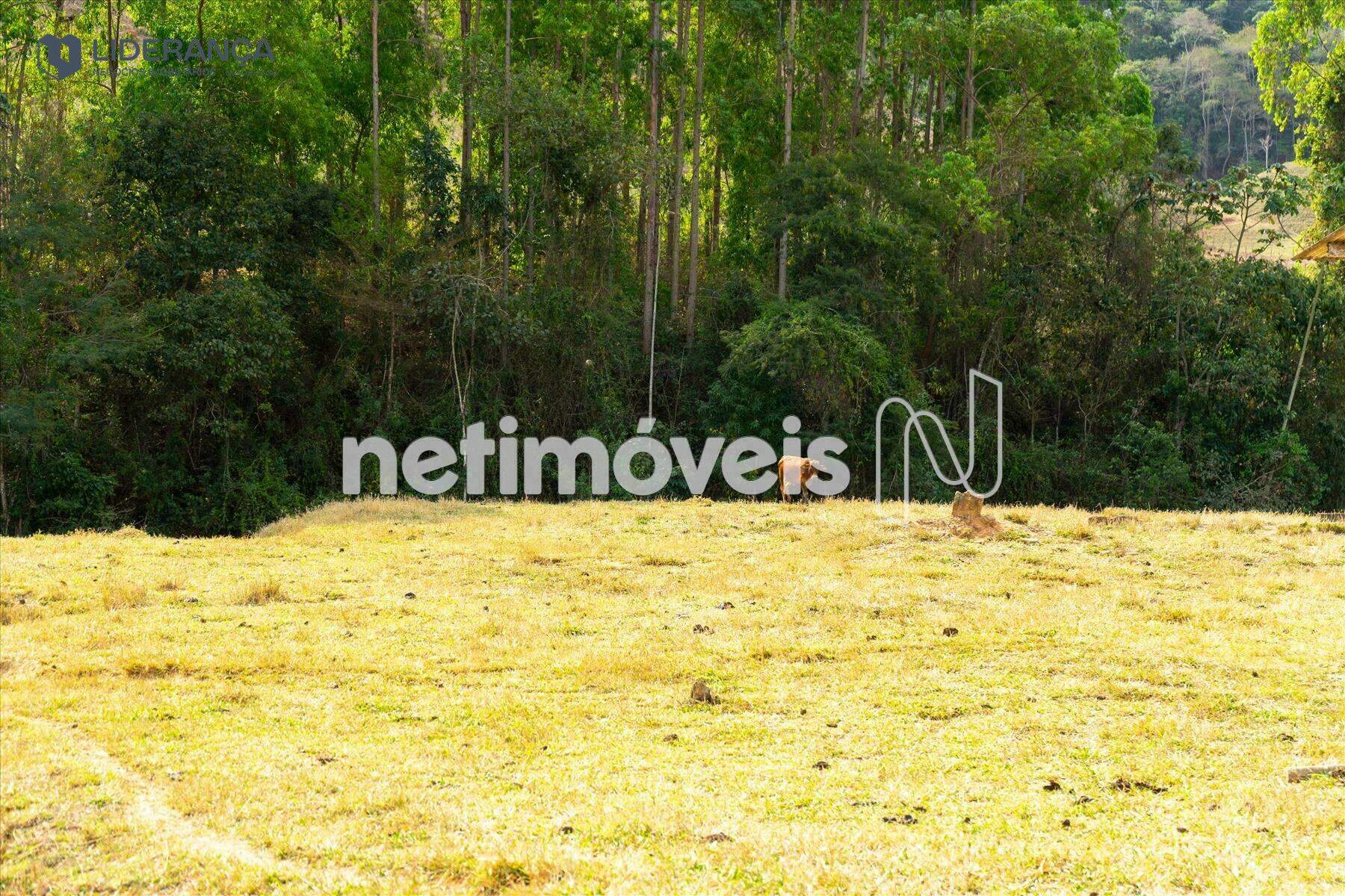 fazenda à venda no Recreio:  