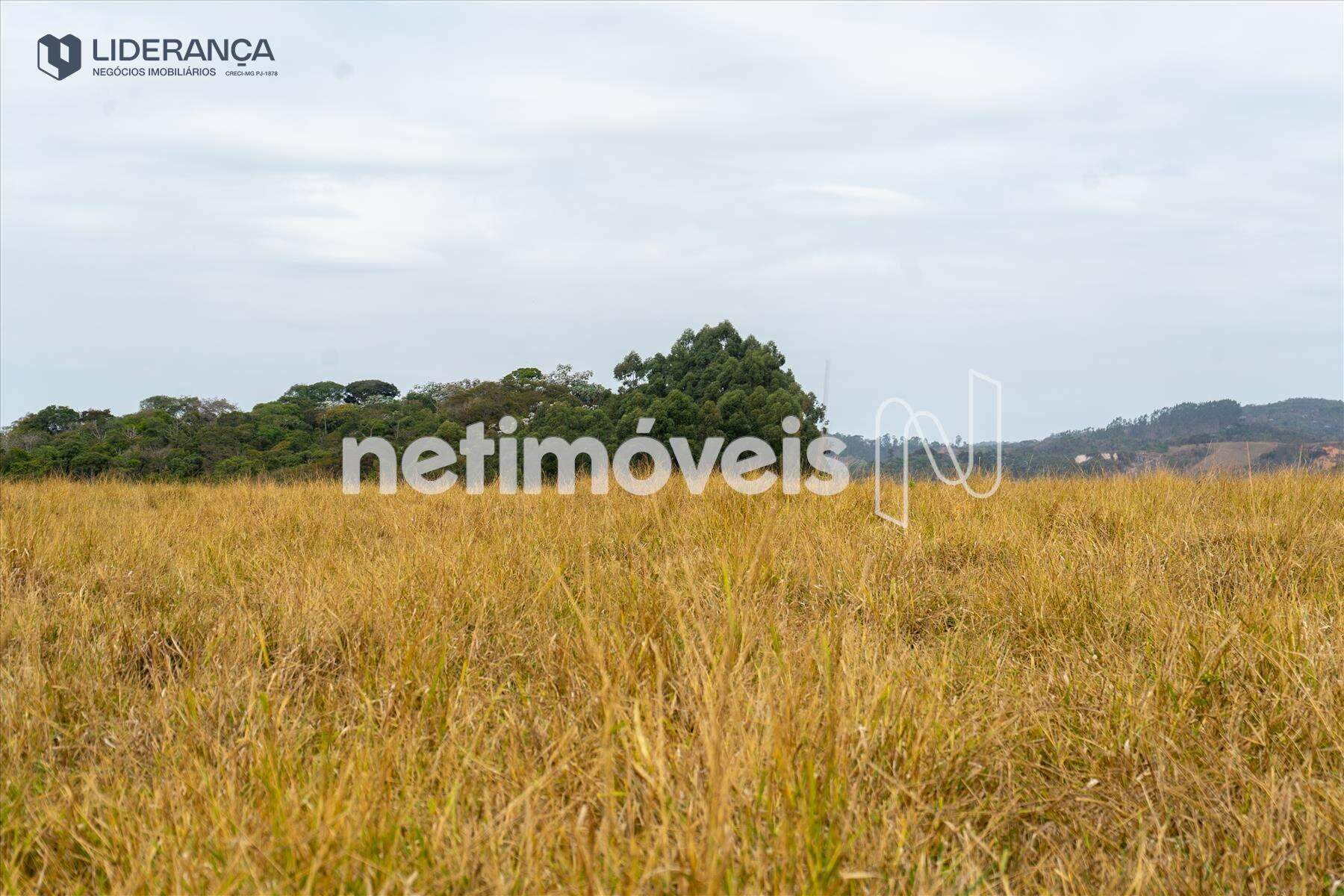 fazenda à venda no Recreio:  