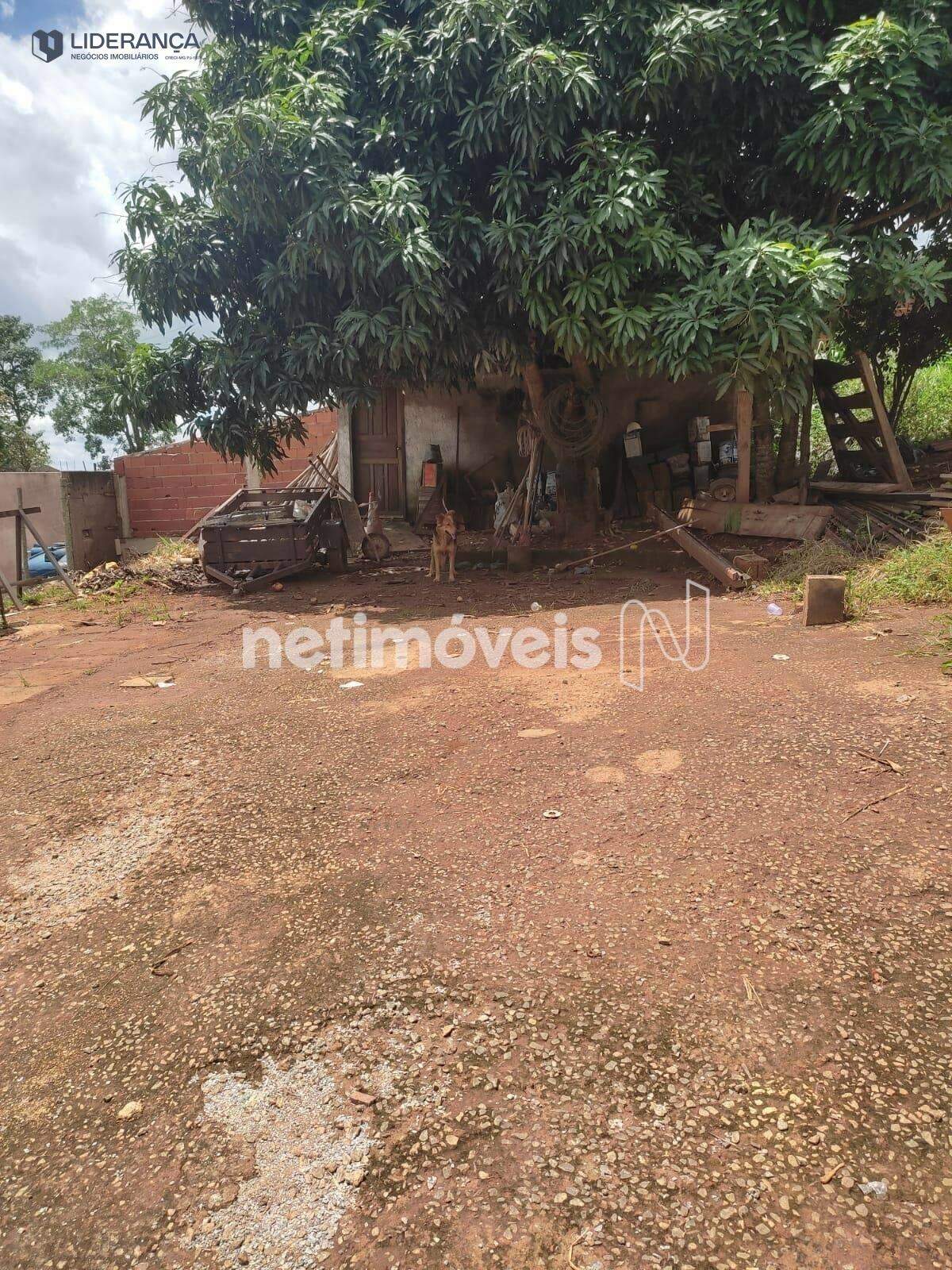 lote à venda no Limoeiro:  