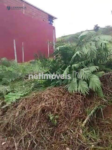 lote à venda no Santa Cruz: 