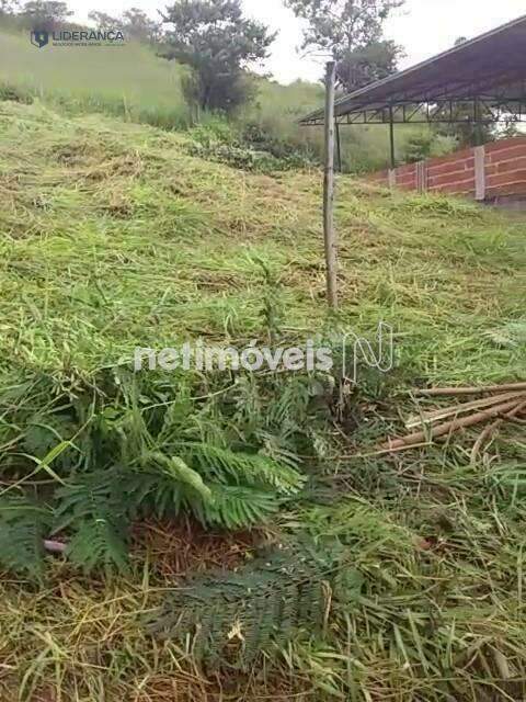lote à venda no Santa Cruz: 