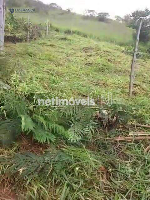 lote à venda no Santa Cruz: 