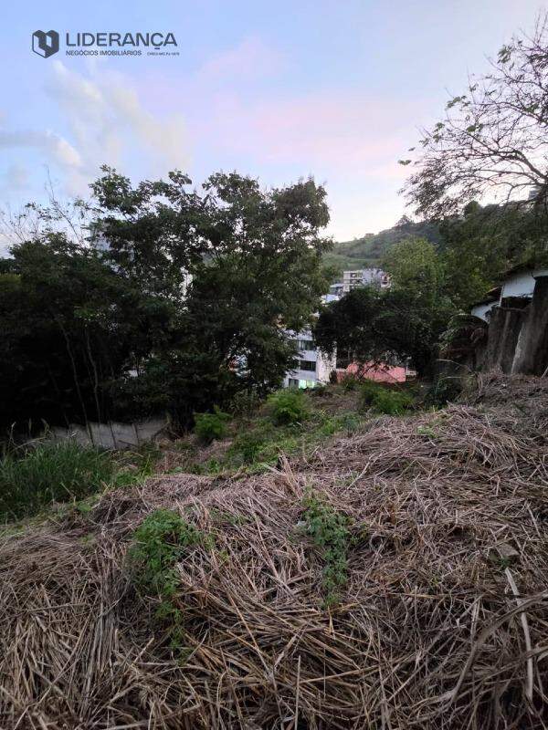 lote à venda no Dário Grossi: 