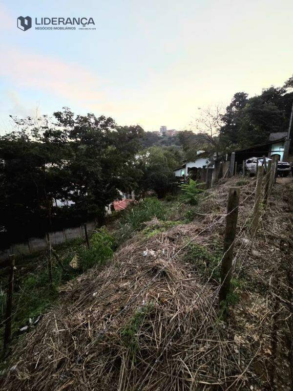 lote à venda no Dário Grossi: 