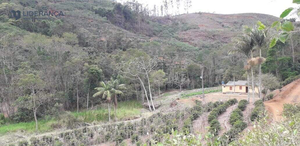 sítio à venda no Sao Simao do Rio Pre: 