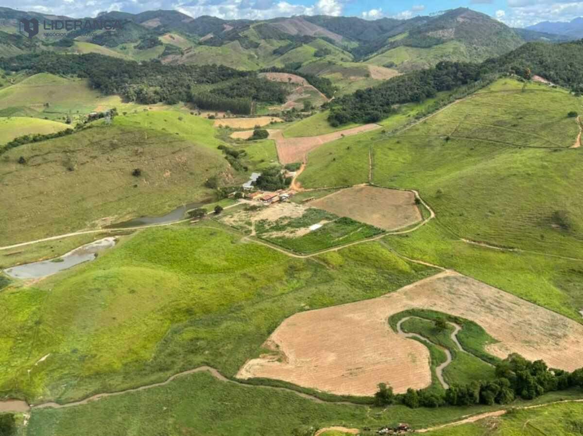 fazenda à venda no Patrocínio de Caratinga: 