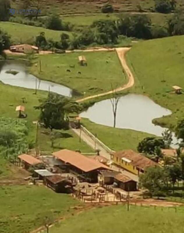 fazenda à venda no Patrocínio de Caratinga: 