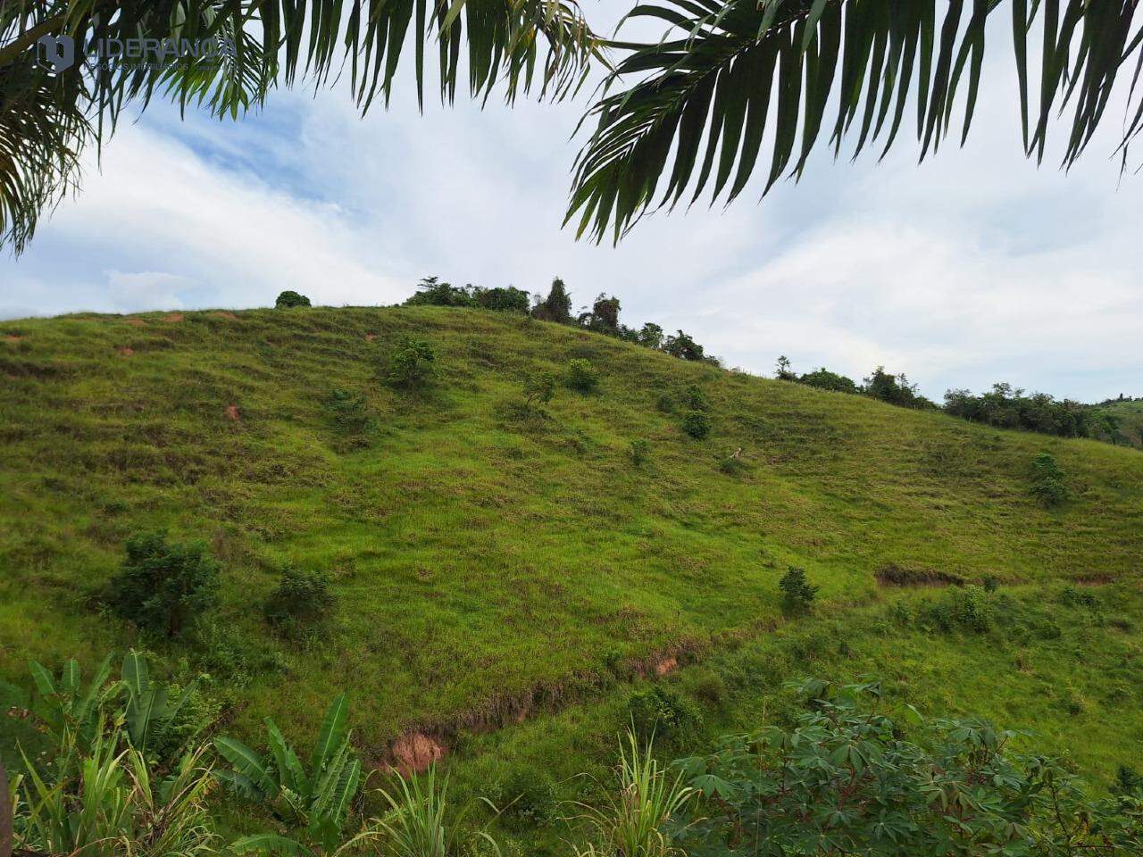 fazenda à venda no Bicuíba: 