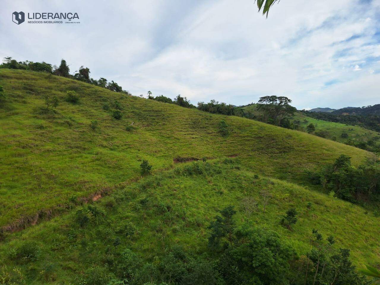 fazenda à venda no Bicuíba: 