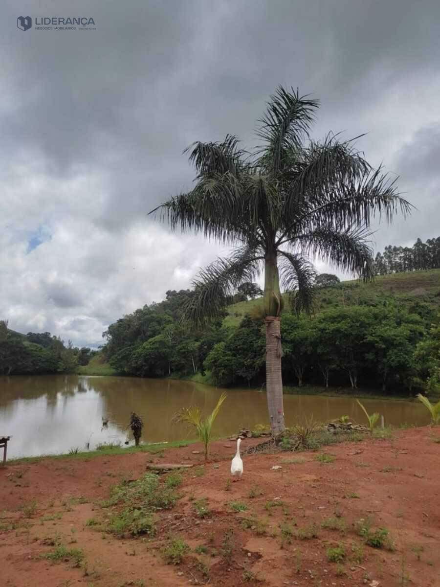 sítio à venda no Zona Rural: 