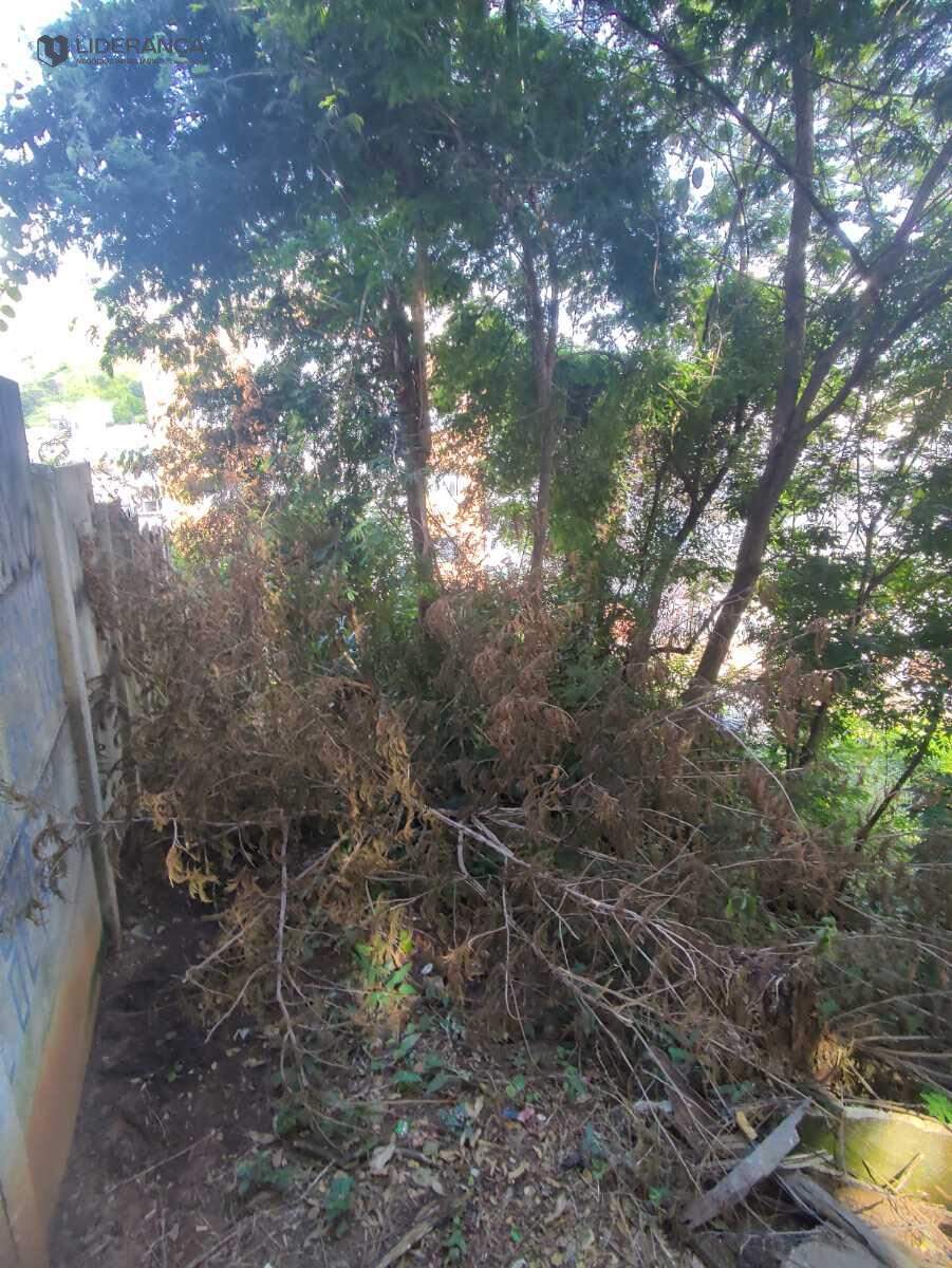lote à venda no Dário Grossi: 