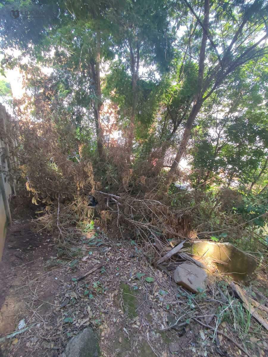 lote à venda no Dário Grossi: 