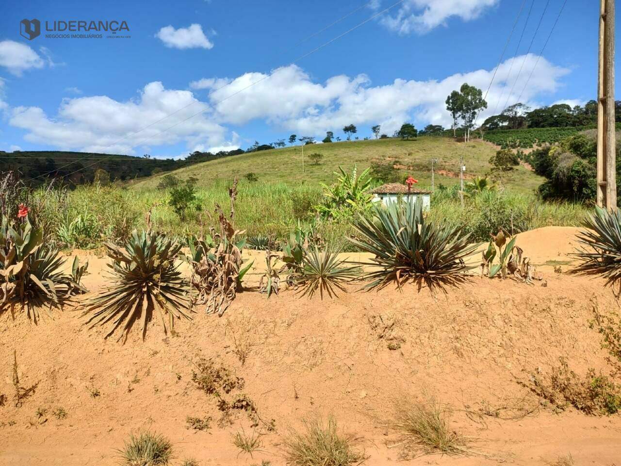 sítio à venda no SANTANA DO TABULEIRO: 