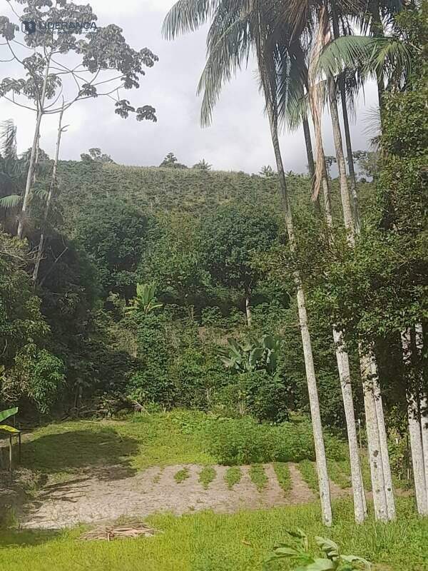 chácara à venda no Santa Luzia de Caratinga: 
