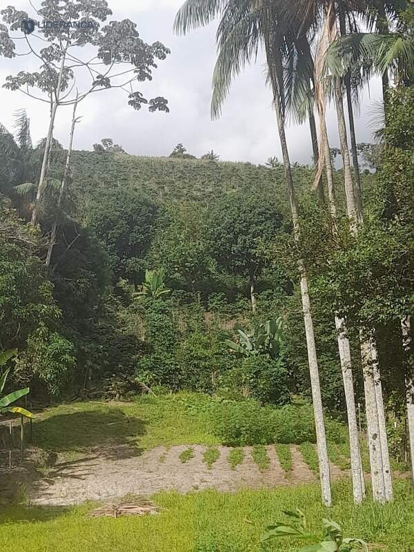 chácara à venda no Santa Luzia de Caratinga: 