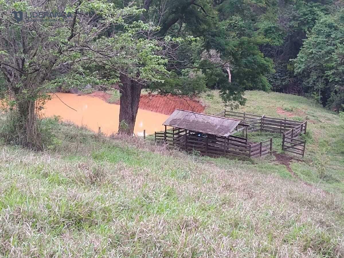 fazenda à venda no Roça: 