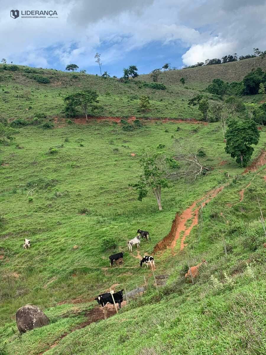 fazenda à venda no Roça: 