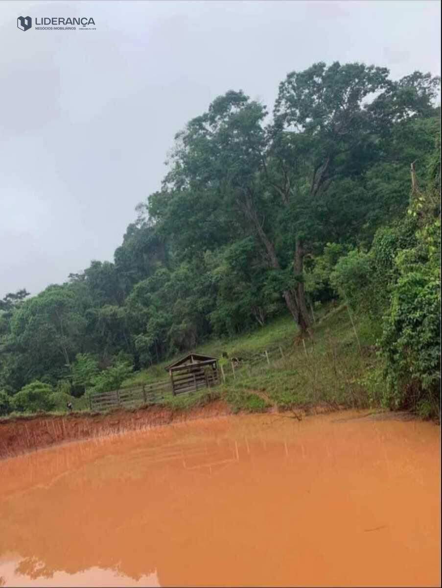 fazenda à venda no Roça: 