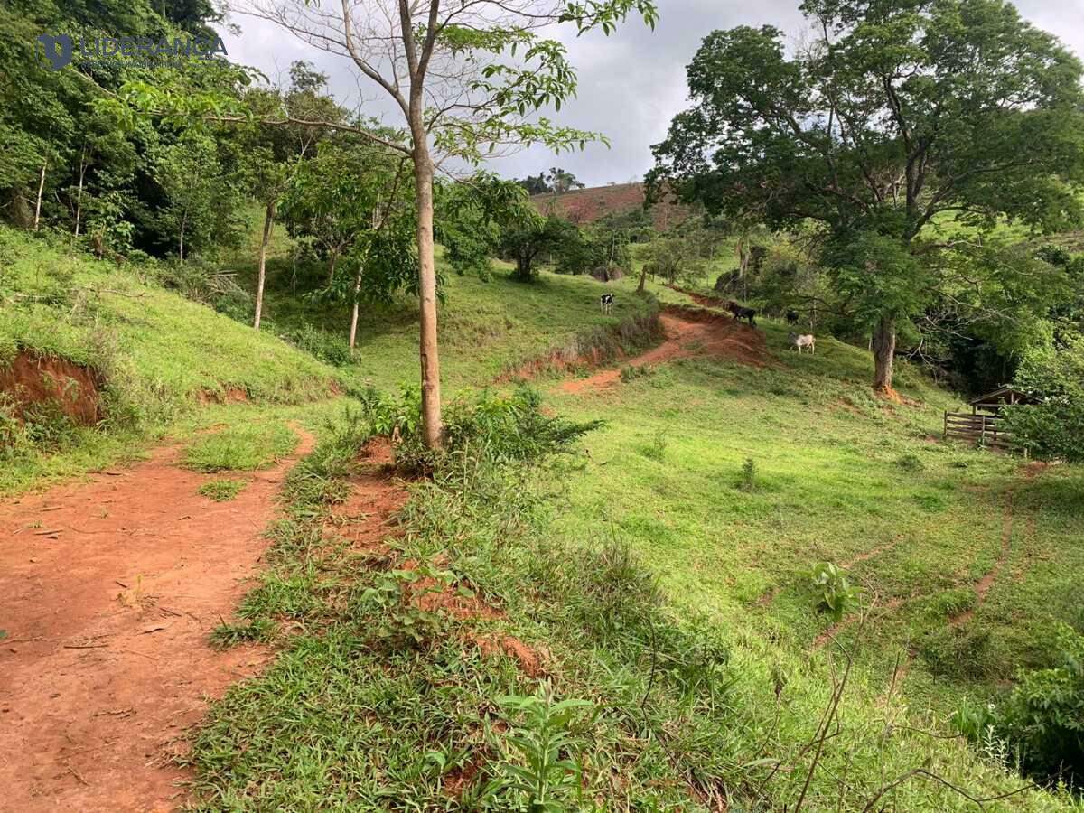 fazenda à venda no Roça: 