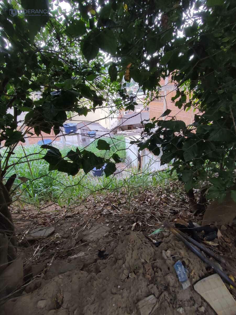 lote à venda no Limoeiro: 