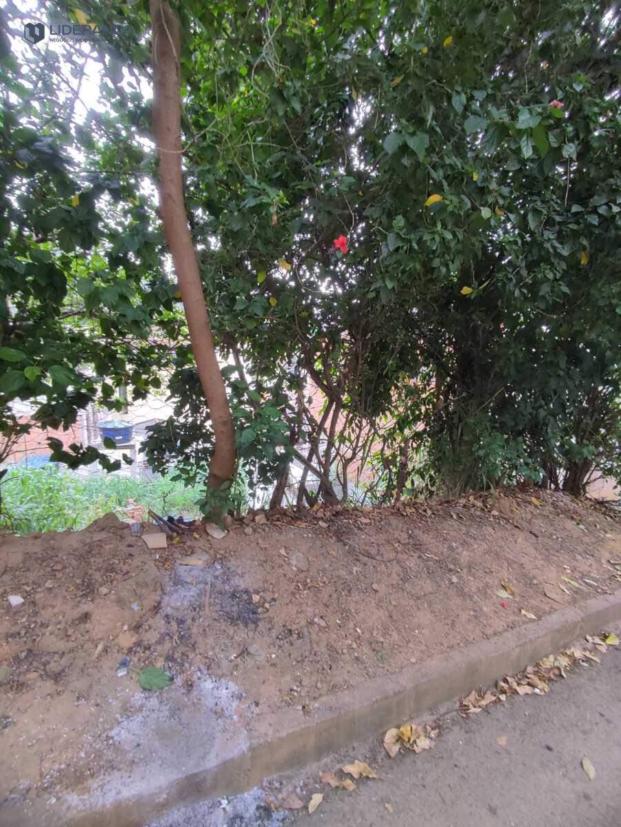 lote à venda no Limoeiro: 