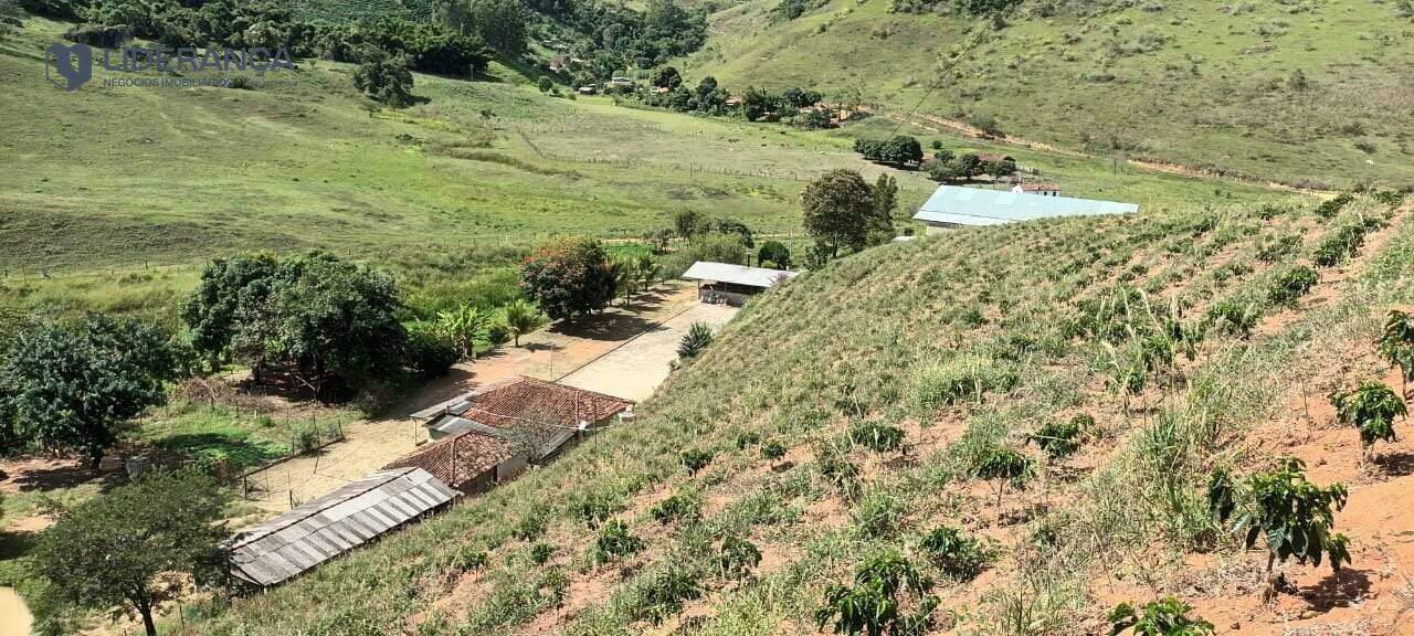 fazenda à venda no Sapucaia: 