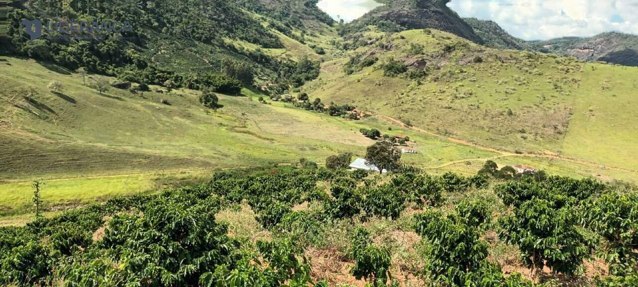 fazenda à venda no Sapucaia: 