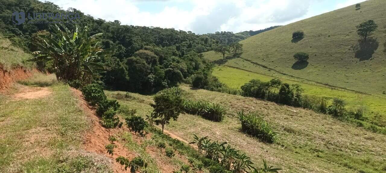 fazenda à venda no Sapucaia: 