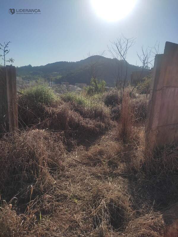 lote à venda no CENTRO: 