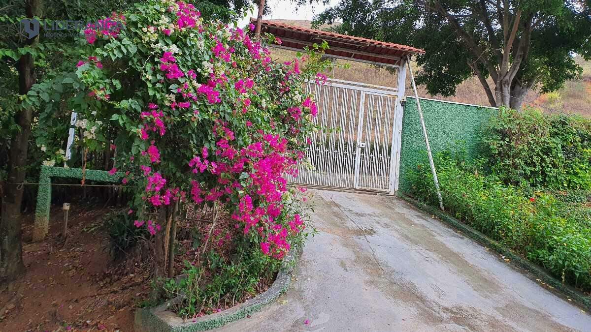 sítio à venda no Roça: 