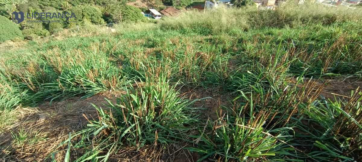 lote à venda no Nossa Senhora Aparecida: 