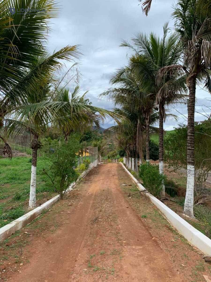 chácara à venda no AREA RURAL: 