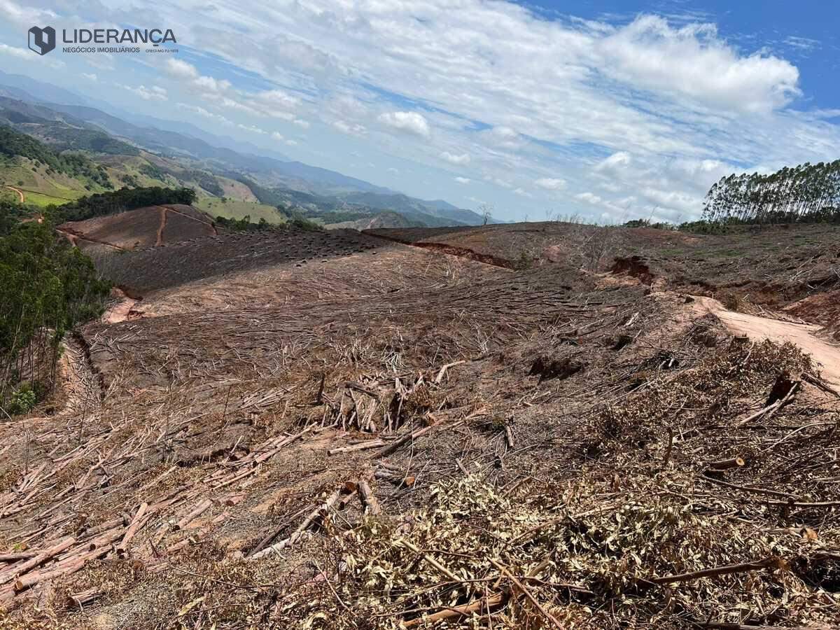 sítio à venda no São João do Jacutinga: 