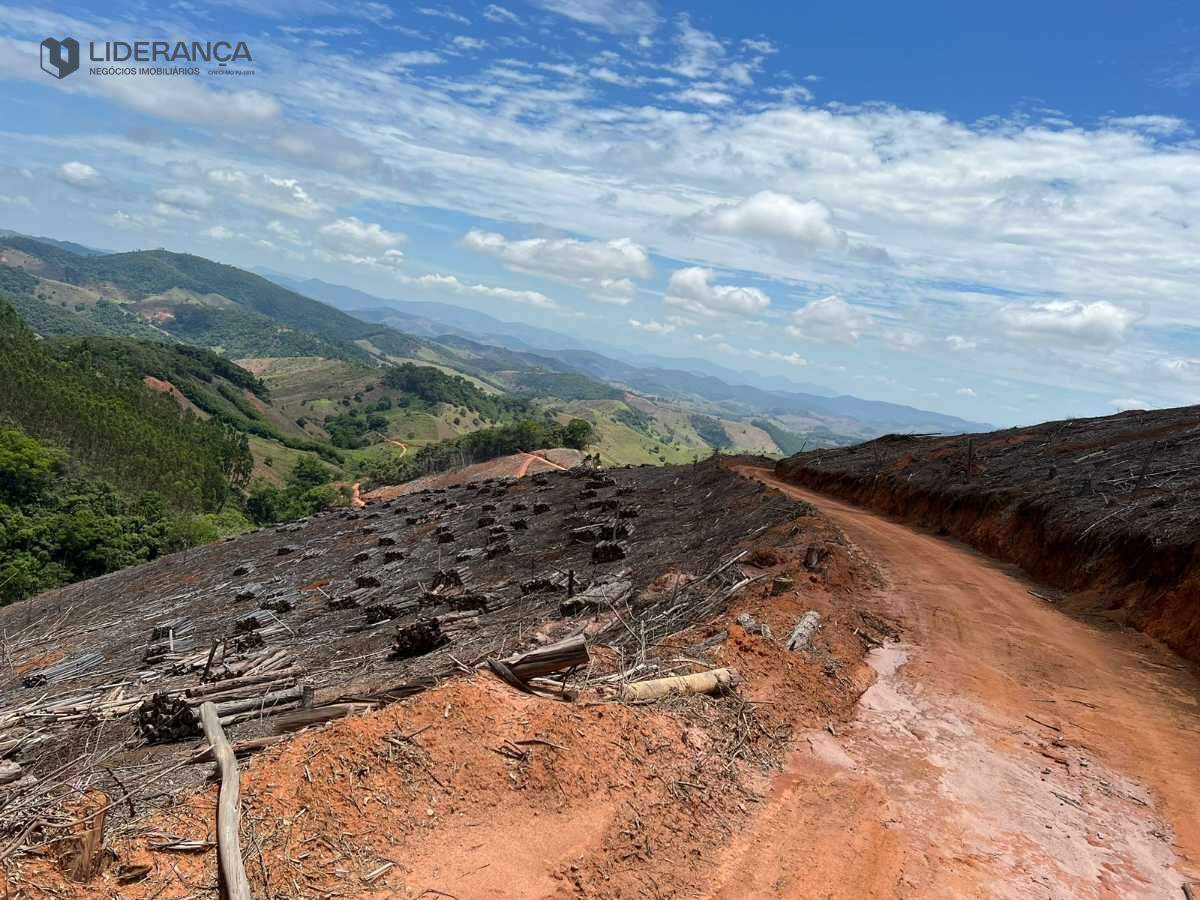 sítio à venda no São João do Jacutinga: 