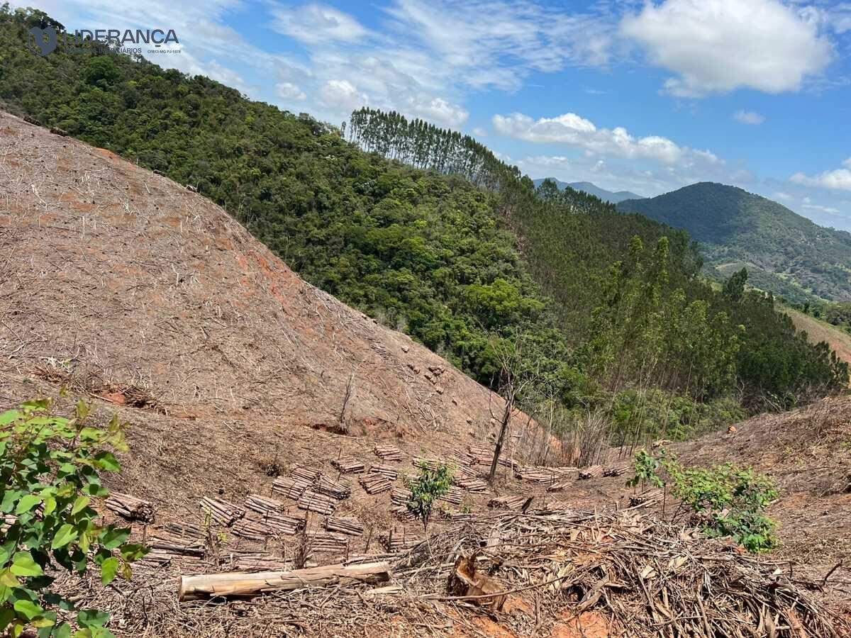 sítio à venda no São João do Jacutinga: 