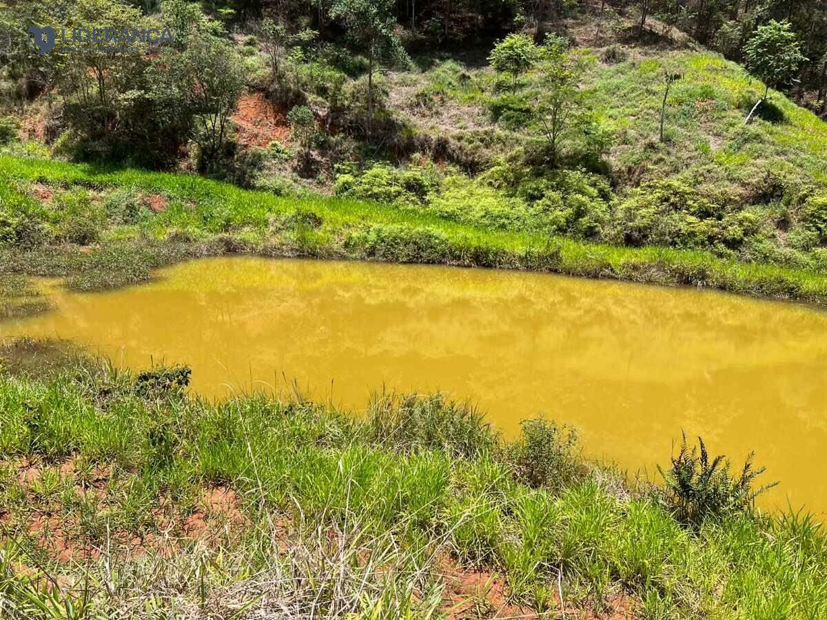 sítio à venda no São João do Jacutinga: 