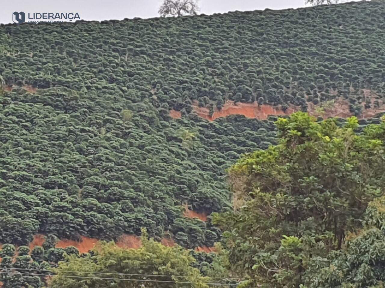 sítio à venda no Zacarias: 