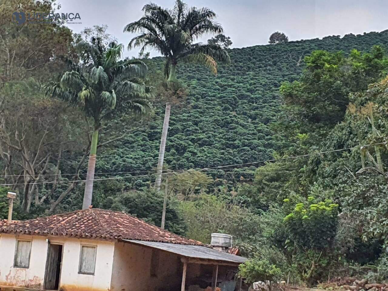 sítio à venda no Zacarias: 