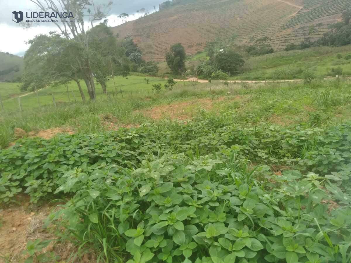 chácara à venda no Corrego caparao: 