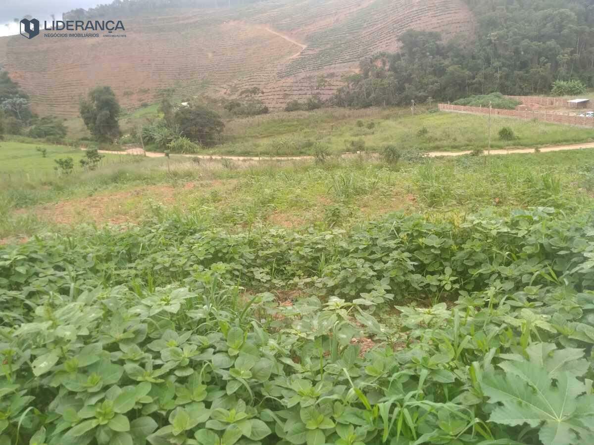 chácara à venda no Corrego caparao: 