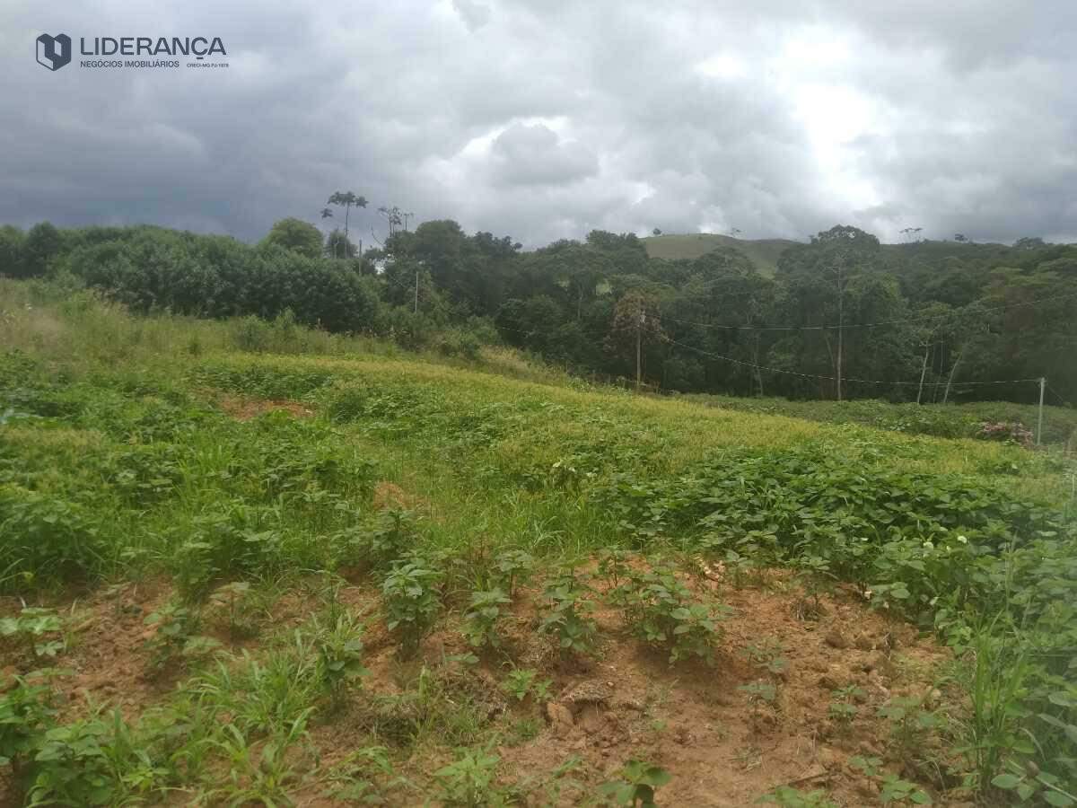 chácara à venda no Corrego caparao: 