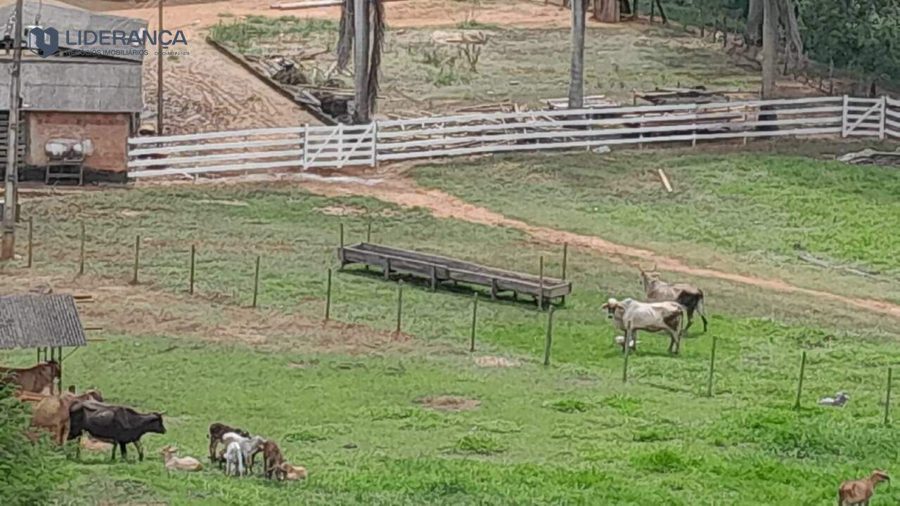 fazenda à venda no ZONA RURAL: 