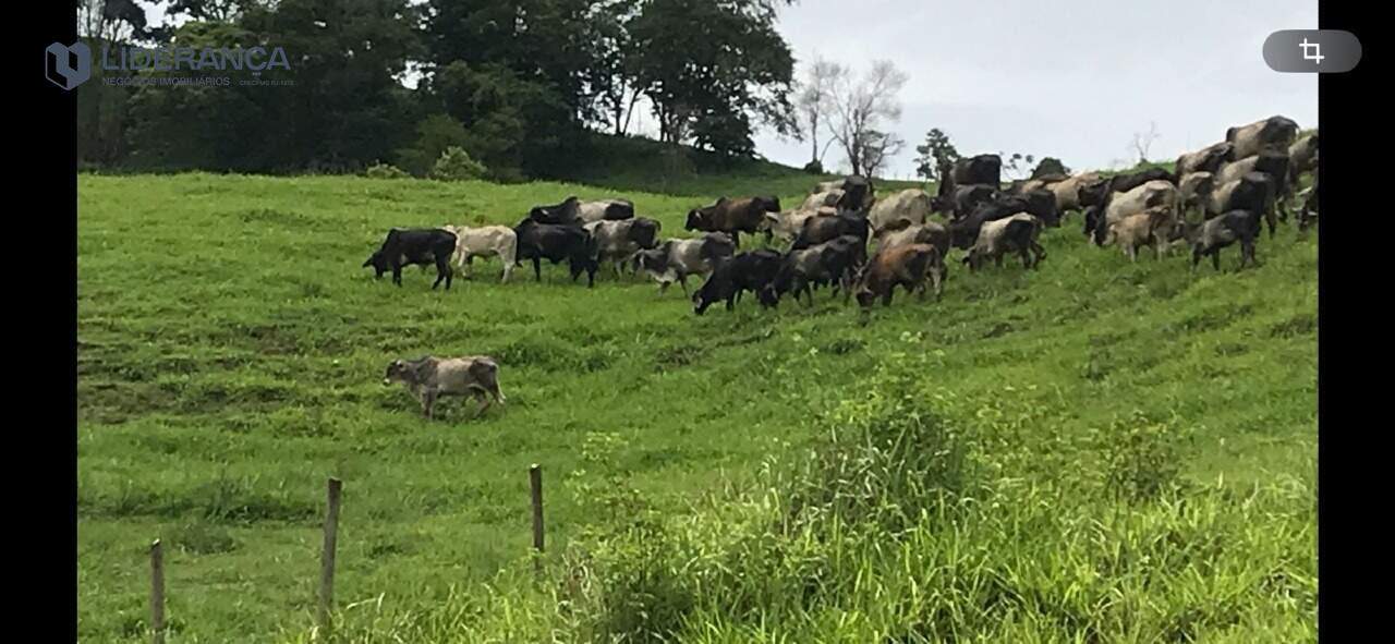 fazenda à venda no ZONA RURAL: 