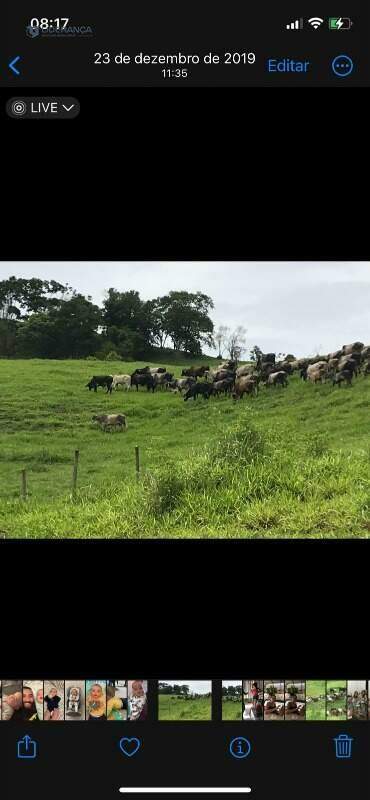 fazenda à venda no ZONA RURAL: 