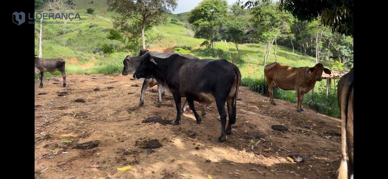 fazenda à venda no ZONA RURAL: 