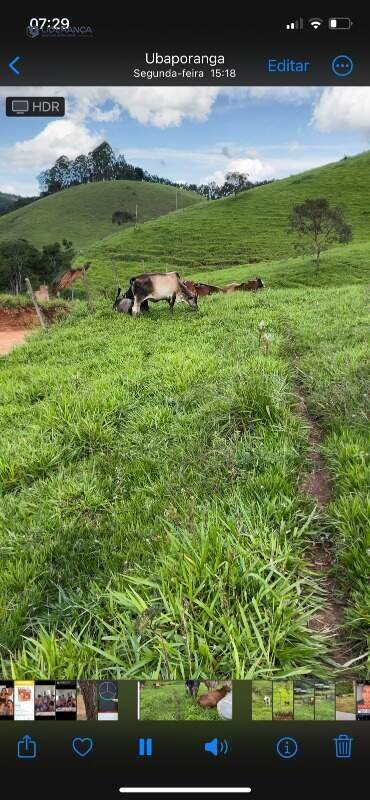fazenda à venda no ZONA RURAL: 