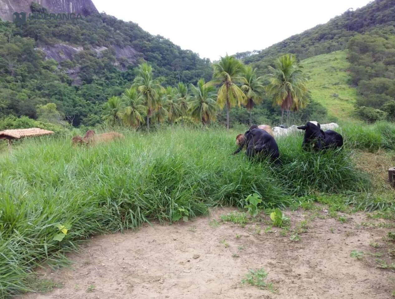 fazenda à venda no ZONA RURAL: 